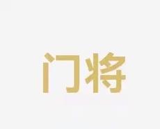 巴西队长的