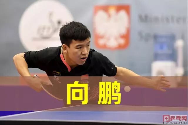 新帅的战术 新帅的战术